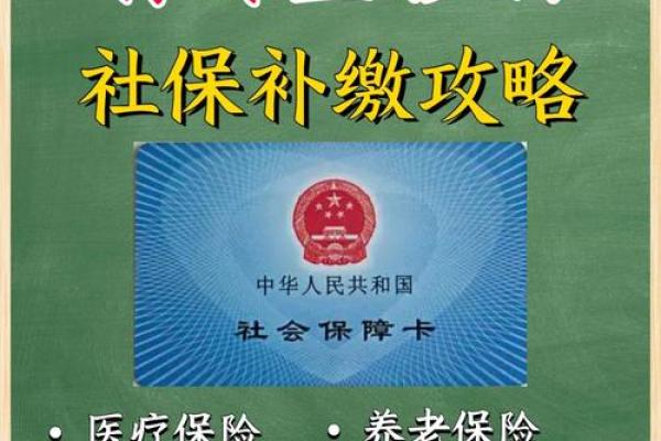 社保断了一个月怎么办？解读影响与补救措施